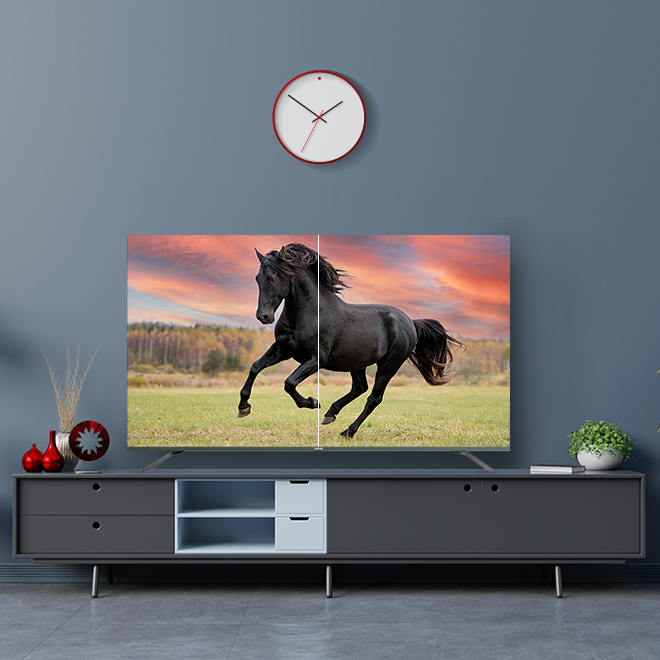 Vestel Televizyon MEMC Teknolojisi