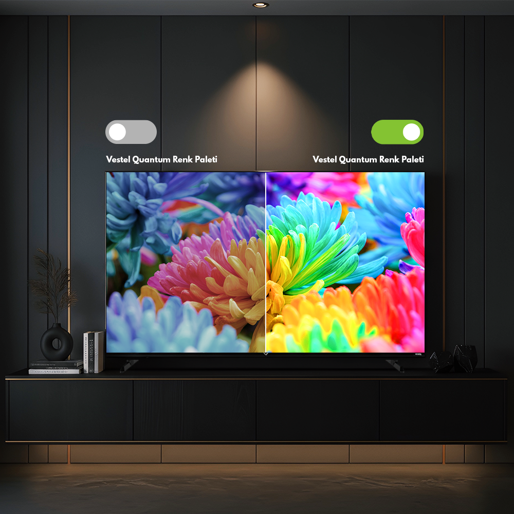 Vestel Televizyon Quantum Renk Paleti